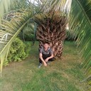  ,   , 39 ,   ,   