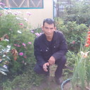  -,   , 43 ,     , c , 