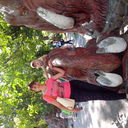 ���������� ������, ���� ������� ����, 44 ����, ������������ ��� ������, ����� � ���������, c�������� ���������