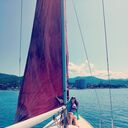 ���������� ��������, ���� ������� ����, 39 ���, ������������ ��� ���������