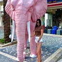 ���������� ������, ���� ������� ��� �����, 38 ���, ������������ ��� ������, ����� � ���������, c�������� ���������, ���������