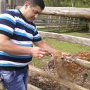 ���������� ������, ���� ������� ������, 45 ���, ������������ ��� ����� � ���������, c�������� ���������