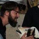 ���������� ����, ���� ������� �������, 33 ����, ������������ ��� ������, ����� � ���������, c�������� ���������, ���������