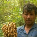 ���������� ������, ���� ������� ������, 60 ���, ������������ ��� ������, ����� � ���������, c�������� ���������