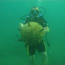 ���������� ������, ���� ������� Maksim, 36 ���, ������������ ��� ����� � ���������, c�������� ���������