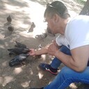 ���������� �������, ���� ������� ����, 44 ����, ������������ ��� ������, ����� � ���������, c�������� ���������, ���������