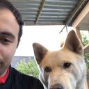 ���������� ������, ���� ������� ��������, 29 ���, ������������ ��� ������, ����� � ���������, c�������� ���������, ���������