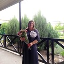  --,   , 44 ,   c 