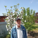 ,   , 73 ,   ,   , c 