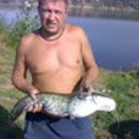  ,   , 53 ,  