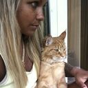   ,   , 33 ,  