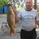  ,   , 49 ,   