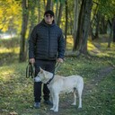 ���������� ������, ���� ������� ����, 38 ���, ������������ ��� ������, ����� � ���������, c�������� ���������, ���������