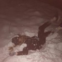 ���������� ������, ���� ������� ���������, 26 ���, ������������ ��� ������, ����� � ���������, c�������� ���������, ���������