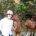 ���������� ������-���������, ���� ������� ������, 28 ���, ������������ ��� ������, ����� � ���������, c�������� ���������