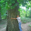 ���������� ����, ���� ������� ���������, 43 ����, ������������ ��� ������, ����� � ���������, c�������� ���������