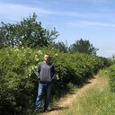 ���������� ����, ���� ������� �����, 49 ���, ������������ ��� ������, ����� � ���������