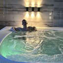 ���������� ������, ���� ����� ������, 25 ���, ������������ ��� ������, ����� � ���������