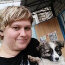 ���������� ���������, ���� ������� ����������, 28 ���, ������������ ��� ���������