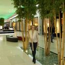 ���������� ������, ���� ������� �����, 50 ���, ������������ ��� ������, ����� � ���������, c�������� ���������