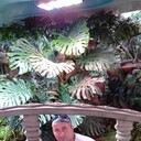 ���������� ��������, ���� ������� ��������, 38 ���, ������������ ��� ����� � ���������, c�������� ���������