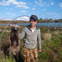  ,   , 44 ,   ,   , c , 