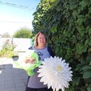 ���������� ��������, ���� ������� �������, 49 ���, ������������ ��� ������, ����� � ���������