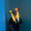 ���������� ������, ���� ����� �������, 20 ���, ������������ ��� ������, ����� � ���������