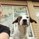 ���������� ����������, ���� ������� �������, 33 ����, ������������ ��� c�������� ���������