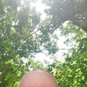  ,   , 62 ,   ,   