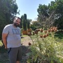 ���������� ������, ���� ������� ����, 50 ���, ������������ ��� ������, ����� � ���������, c�������� ���������