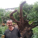 ���������� ������, ���� ������� ����, 60 ���, ������������ ��� ������