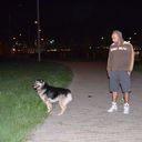 ���������� ������, ���� ������� ����, 38 ���, ������������ ��� ������, ����� � ���������, c�������� ���������