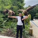 ���������� ���������, ���� ������� �������, 32 ����, ������������ ��� ������, ����� � ���������, c�������� ���������, ���������