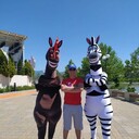 ���������� ������, ���� ������� �����, 42 ����, ������������ ��� ������, ����� � ���������, c�������� ���������