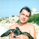 ���������� ��������, ���� ������� ����, 46 ���, ������������ ��� ������