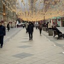 ���������� �������, ���� ������� �����, 36 ���, ������������ ��� ������, ����� � ���������