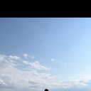 ���������� �����-���������, ���� ������� ������, 33 ����, ������������ ��� ������, ����� � ���������