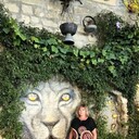 ���������� ������, ���� ������� �������, 48 ���, ������������ ��� c�������� ���������