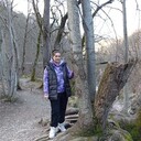  --,   , 26 ,   c , 
