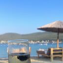 ���������� �����, ���� ������� ������, 42 ����, ������������ ��� ������, ����� � ���������