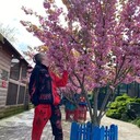 ���������� ������, ���� ������� ���������, 32 ����, ������������ ��� ������, ���������