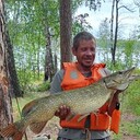 ���������� ���������, ���� ������� �������, 45 ���, ������������ ��� ������, ����� � ���������, c�������� ���������, ���������