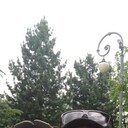 ���������� ���, ���� ������� ��������, 48 ���, ������������ ��� c�������� ���������