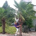  Sittard,   , 52 ,   ,   