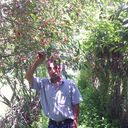  ,   , 54 ,   ,   