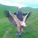 ���������� ������-����, ���� ������� ������, 37 ���, ������������ ��� ������