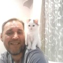   ,   , 51 ,   ,   