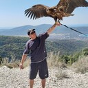 ���������� �������, ���� ������� ���������, 41 ���, ������������ ��� ������, ����� � ���������, ���������