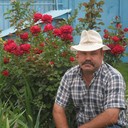  ,   , 62 ,   